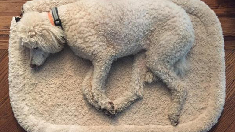 Чтобы   настроение было на позитиве 