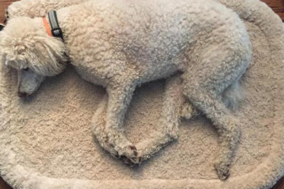 Чтобы   настроение было на позитиве 