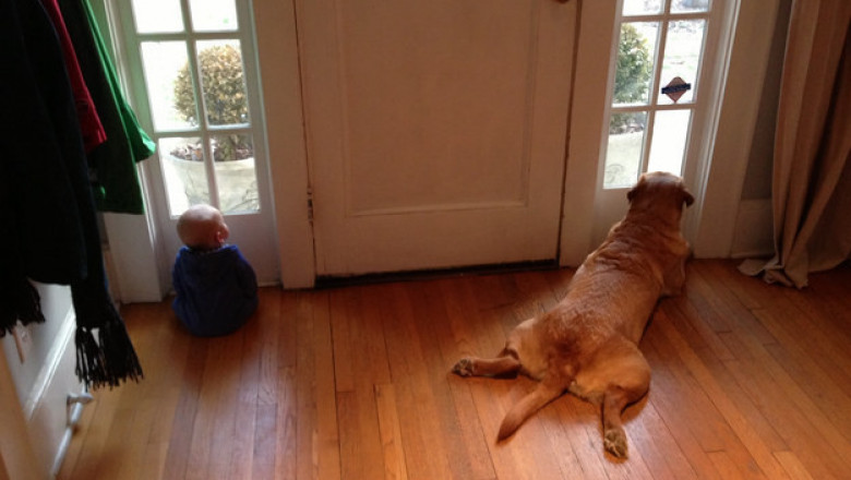 И  так каждый день 