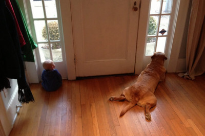 И  так каждый день 