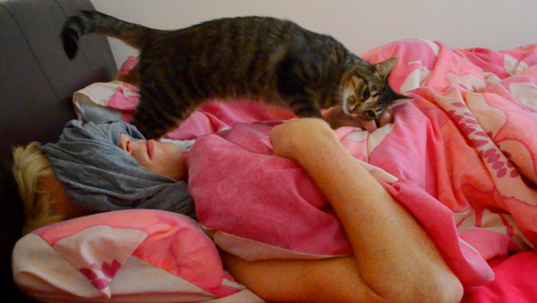 Хозяин , подъём !