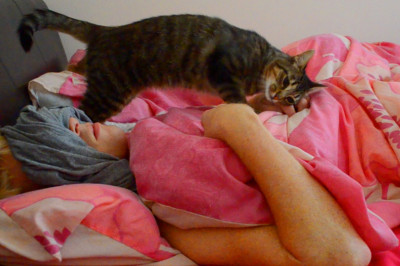 Хозяин , подъём !