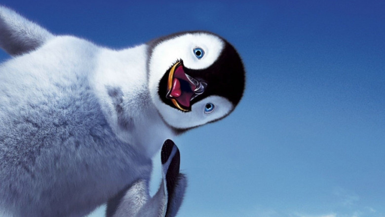 Любознательный пингвин 