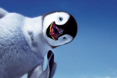 Любознательный пингвин 