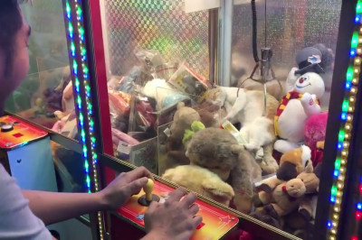 Пригрелся в игрушках 