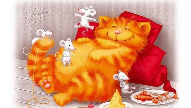 Только котики!