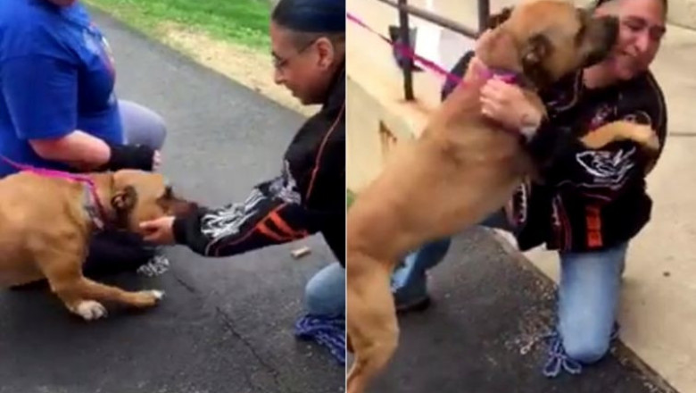 Встреча спустя два года 