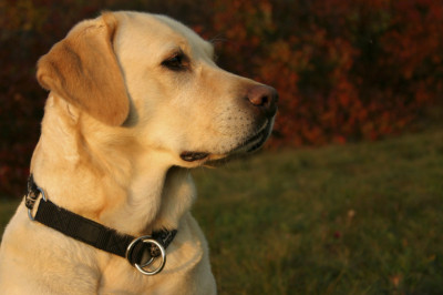 Наш весьма умный малыш