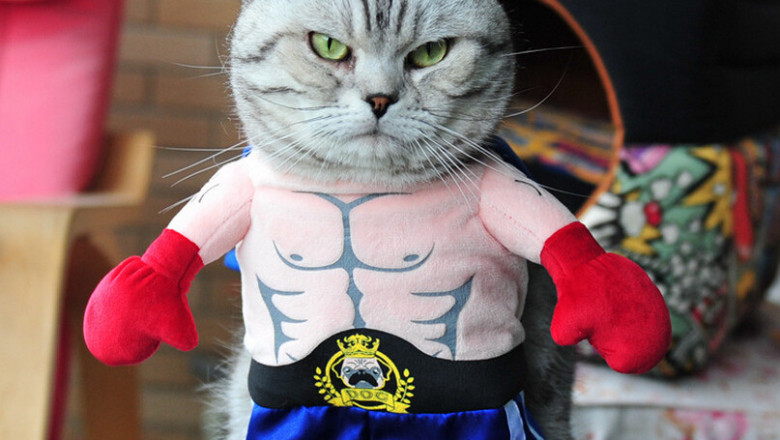 А вы , не будите смеяться ?