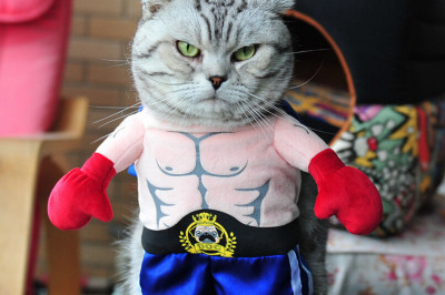 А вы , не будите смеяться ?