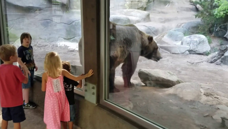 Когда тебе все и всё надоело 