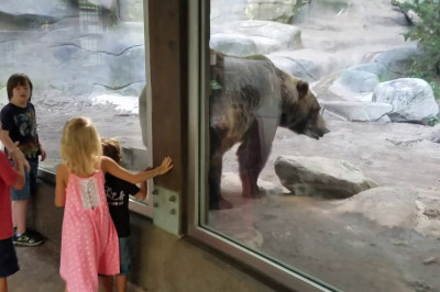 Когда тебе все и всё надоело 
