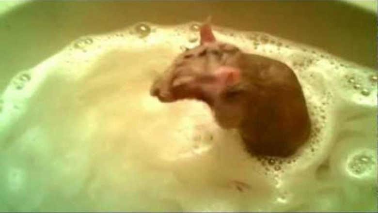 Сразу видно - профессионал !