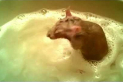 Сразу видно - профессионал !