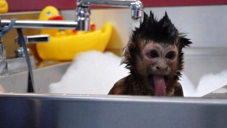 Лучшие Cube приколы 