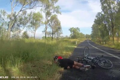 Кенгуру сбил велосипедиста 