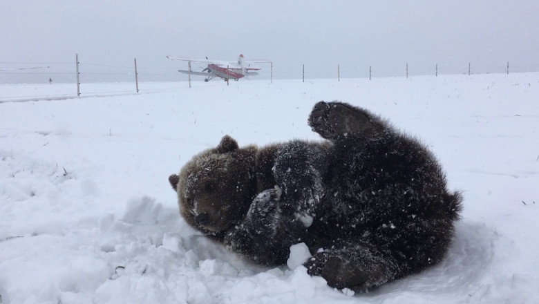 Счастье от первого снега 