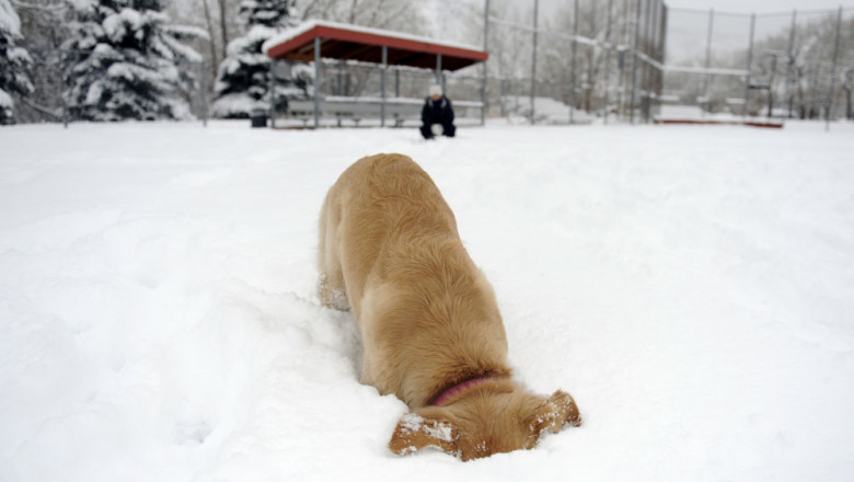 Погружение в снег 
