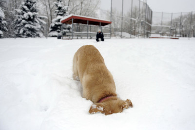 Погружение в снег 