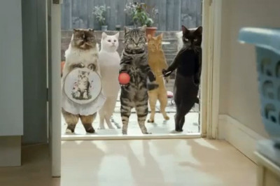 Как я наказал непутевых соседей