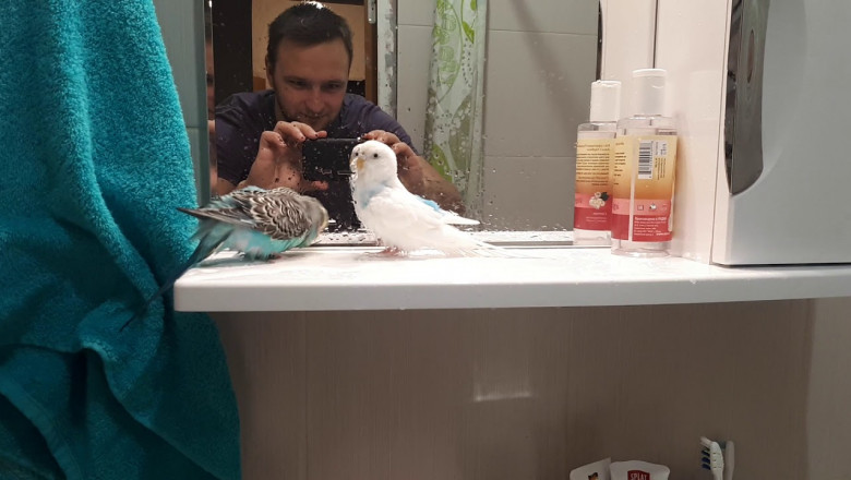 Освежающая процедура 