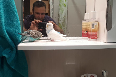 Освежающая процедура 