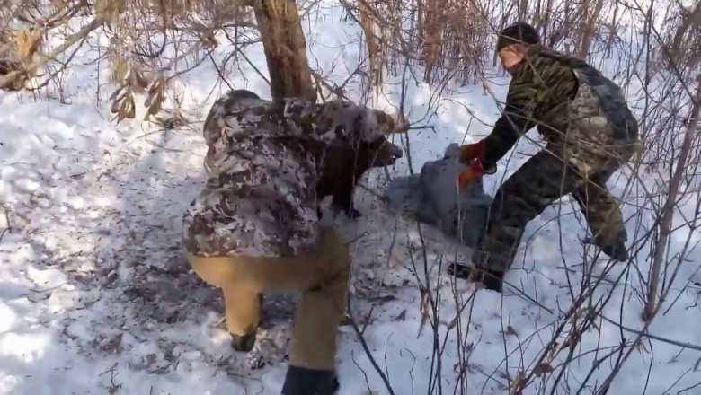 Освобождение кабана из петли 