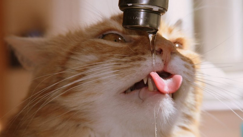 Утро после бурных выходных 