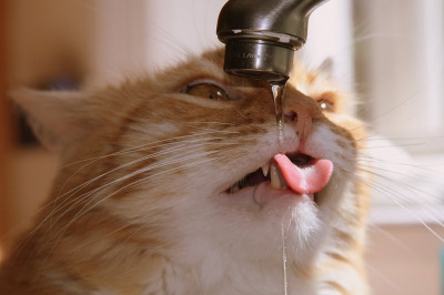 Утро после бурных выходных 