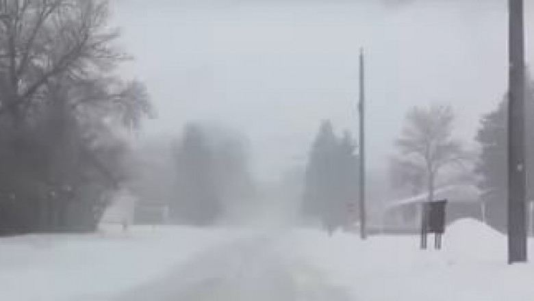 Сила материнской любви 