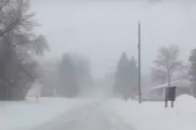 Сила материнской любви 