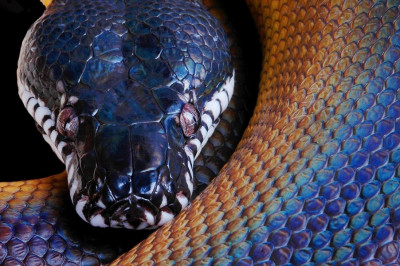 И хочется , и боязно 