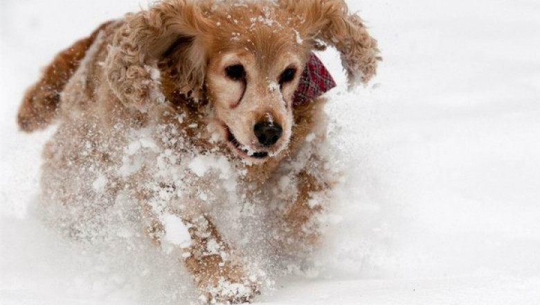 Пробежка по снегу 