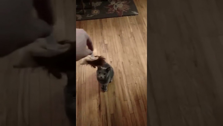 Демонстрация превосходства 