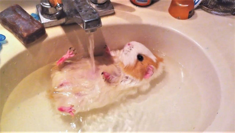 Милашки и очаровашки 