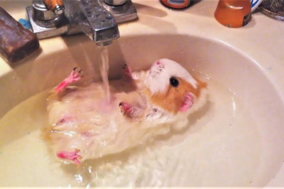 Милашки и очаровашки 