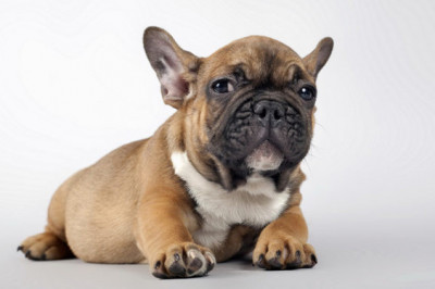 И тебе нельзя ....