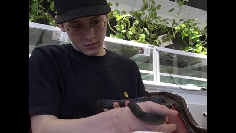 Кафе со змеями 