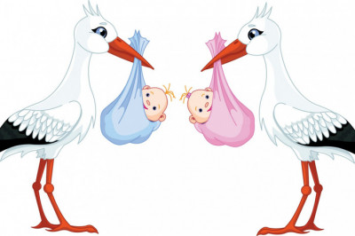 Догадливый мальчик