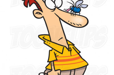 Надоедливая муха