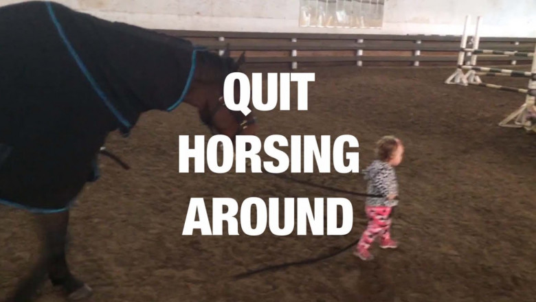 Лошади и люди 