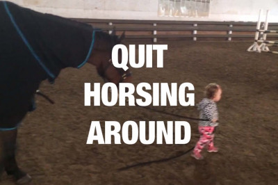 Лошади и люди 