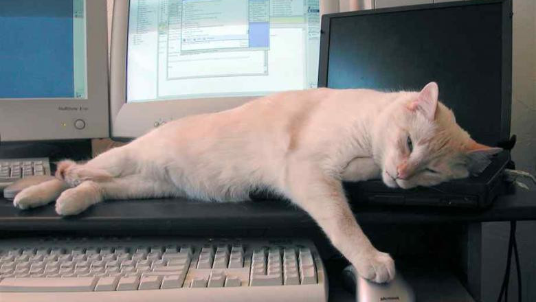 Хватит уже сидеть за компом !