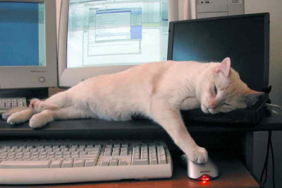 Хватит уже сидеть за компом !