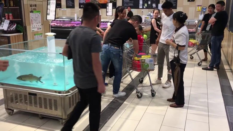 "Заберите меня !"