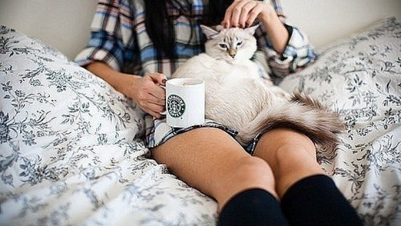 Дуэт с котом 