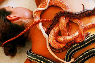 Массаж змеями 