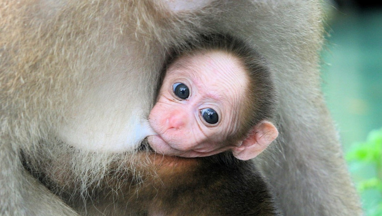 Мама , она и есть - МАМА!