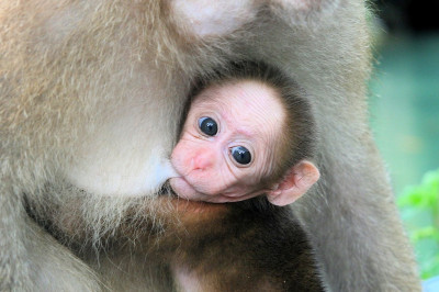 Мама , она и есть - МАМА!