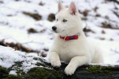 Когда узнали свою машину 